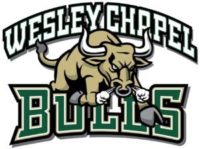 Wesley Chapel Bulls